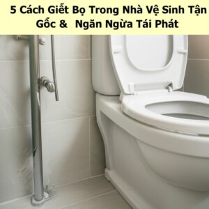5 Cách Giết Bọ Trong Nhà Vệ Sinh Tận Gốc & Ngăn Ngừa Tái Phát