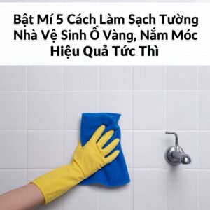 Bật Mí 5 Cách Làm Sạch Tường Nhà Vệ Sinh Ố Vàng, Nấm Mốc Hiệu Quả Tức Thì