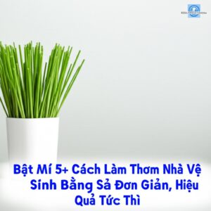 Bật Mí 5+ Cách Làm Thơm Nhà Vệ Sinh Bằng Sả Đơn Giản, Hiệu Quả Tức Thì