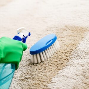 Bí Quyết Vàng: Cách Vệ Sinh Thảm Nỉ Tại Nhà Sạch Như Mới & An Toàn Tuyệt Đối