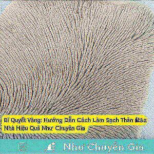 Bí Quyết Vàng: Hướng Dẫn Cách Làm Sạch Thảm Lông Tại Nhà Hiệu Quả Như Chuyên Gia