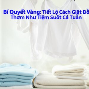 Bí Quyết Vàng: Tiết Lộ Cách Giặt Đồ Thơm Như Tiệm Suốt Cả Tuần