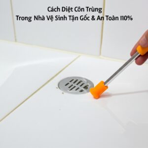 Cách Diệt Côn Trùng Trong Nhà Vệ Sinh Tận Gốc & An Toàn 100%