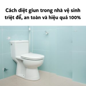 Cách diệt giun trong nhà vệ sinh triệt để, an toàn và hiệu quả 100%