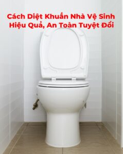 Cách Diệt Khuẩn Nhà Vệ Sinh Hiệu Quả, An Toàn Tuyệt Đối