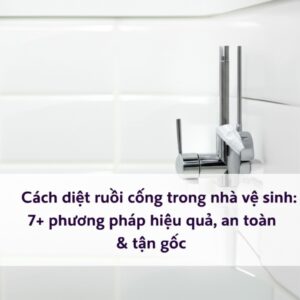 Cách diệt ruồi cống trong nhà vệ sinh: 7+ phương pháp hiệu quả, an toàn & tận gốc