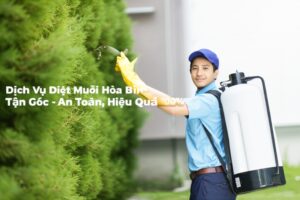 Dịch Vụ Diệt Muỗi Hòa Bình Tận Gốc – An Toàn, Hiệu Quả 100%