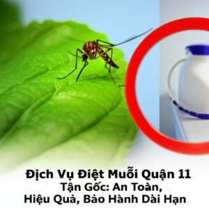 Dịch Vụ Diệt Muỗi Quận 11 Tận Gốc: An Toàn, Hiệu Quả, Bảo Hành Dài Hạn