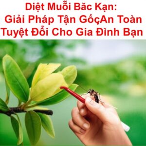 Diệt Muỗi Bắc Kạn: Giải Pháp Tận Gốc, An Toàn Tuyệt Đối Cho Gia Đình Bạn
