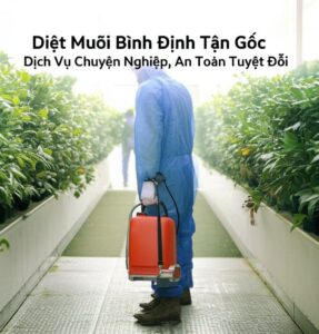 Diệt Muỗi Bình Định Tận Gốc: Dịch Vụ Chuyên Nghiệp, An Toàn Tuyệt Đối