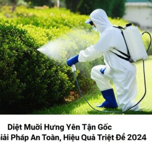 Diệt Muỗi Hưng Yên Tận Gốc: Giải Pháp An Toàn, Hiệu Quả Triệt Để 2024