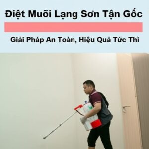 Diệt Muỗi Lạng Sơn Tận Gốc: Giải Pháp An Toàn, Hiệu Quả Tức Thì