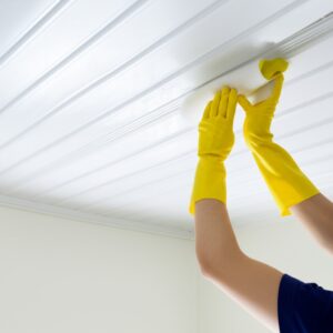 Hướng Dẫn Cách Vệ Sinh Trần Nhà Bằng Nhựa Sạch Bóng Như Mới (A-Z)