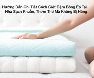 Hướng Dẫn Chi Tiết Cách Giặt Đệm Bông Ép Tại Nhà Sạch Khuẩn, Thơm Tho Mà Không Bị Hỏng
