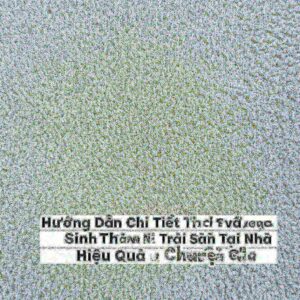 Hướng Dẫn Chi Tiết Cách Vệ Sinh Thảm Nỉ Trải Sàn Tại Nhà Hiệu Quả Như Chuyên Gia