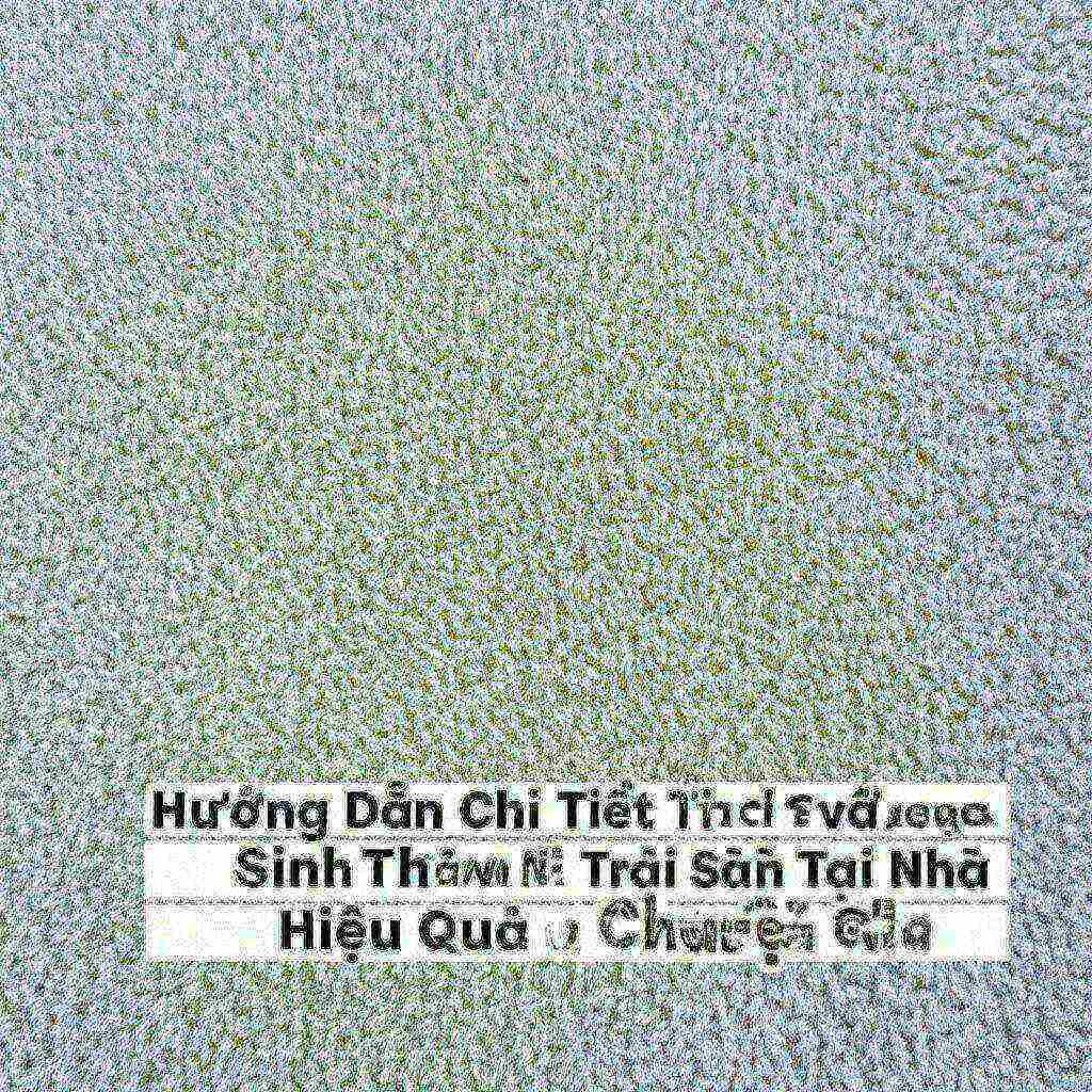 Hình minh họa cho bài viết: Hướng Dẫn Chi Tiết Cách Vệ Sinh Thảm Nỉ Trải Sàn Tại Nhà Hiệu Quả Như Chuyên Gia